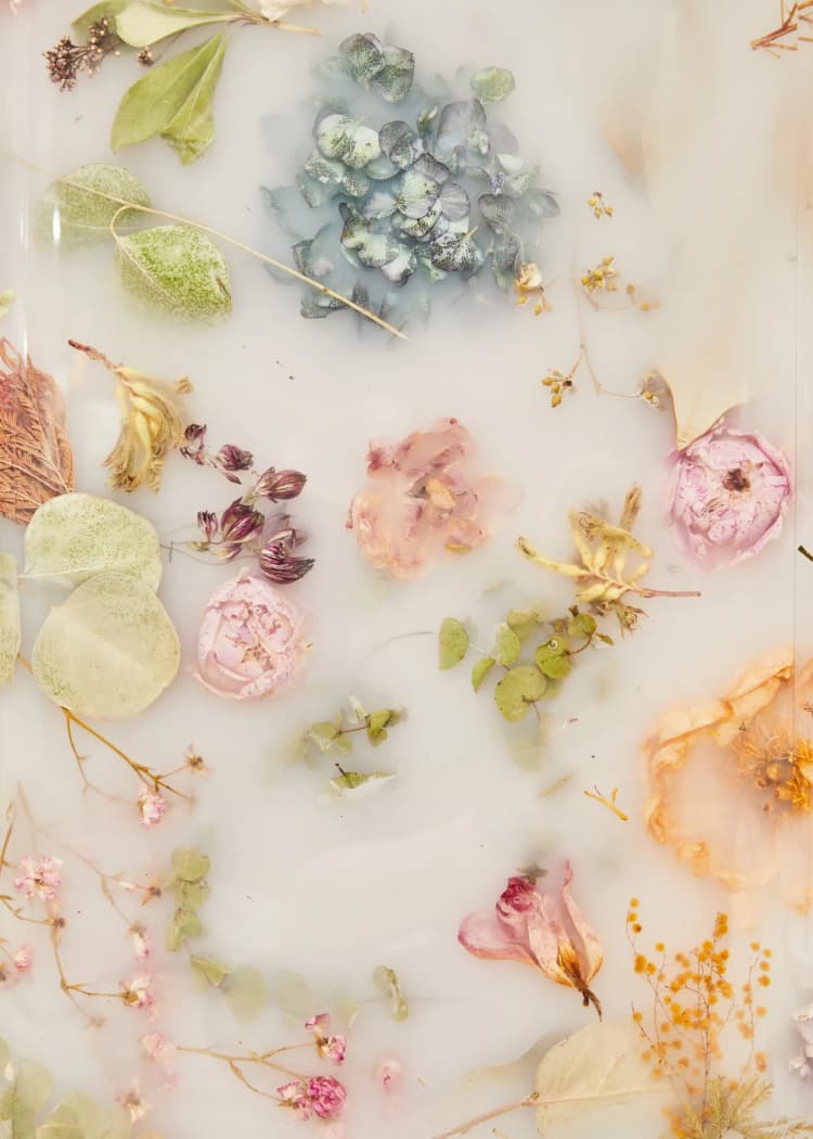 Flora Collection
Curated by AAA